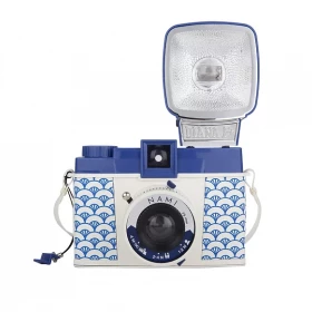 lomo diana f and flash nami