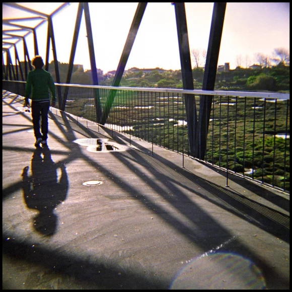 lomo diana cortina