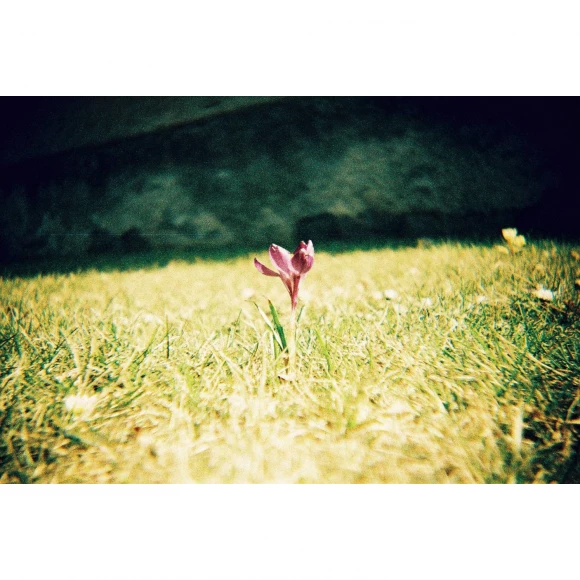lomo instant automat (playa jardín edition)