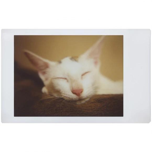 lomo instant automat sundae kids