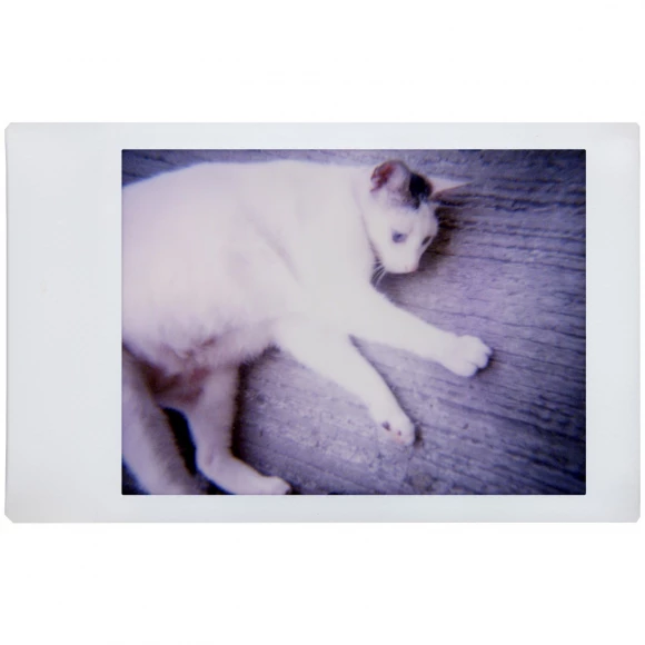 lomo instant mini white