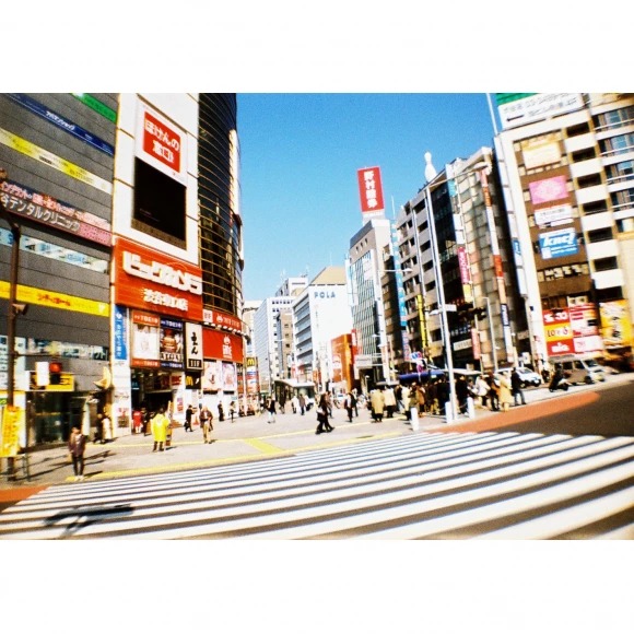 lomo la sardina delaunay